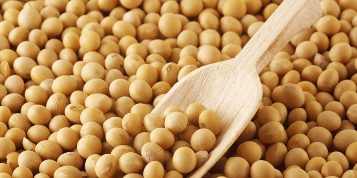 大豆卵磷脂檢驗分析 soybean lecithin 成份檢測